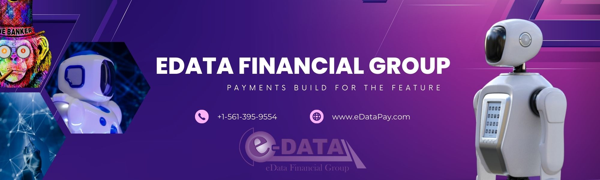 EDATA FINANCIAL GROUP